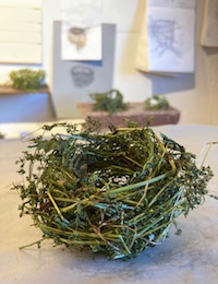 Bird's nest crafted by Honeycutt using various organic material